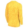 Frankrike Matchtröjor Målvakt EURO 2024 Långärmad